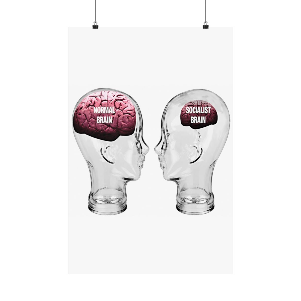 Small Brained American Acrylic Prints - Official Creator merchandise