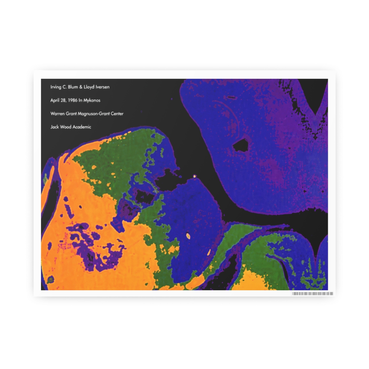 Small Brained American Canvas Prints - Official Creator merchandise
